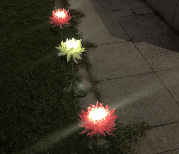 🎁Shop Now 50% OFF🎁 - SPRING ARTIFICIAL Chrysanthemum SOLAR GARDEN STAKE LED