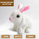 🎁Easter Promotion——🐇Plush Electric White Rabbit🐇